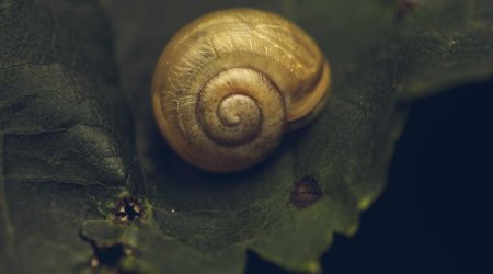 如何制作微助力