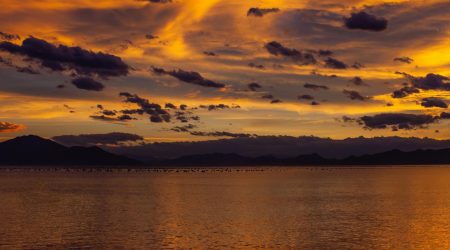 织梦如何调用栏目内容