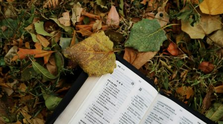 如何设计页面跳转