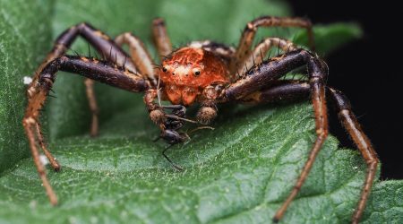 如何做打字建站