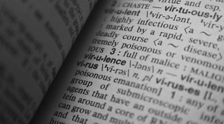 分类信息如何引流