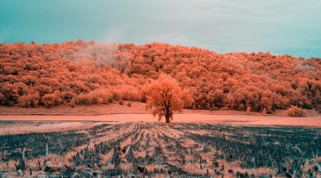 photoshop如何放大缩小