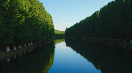 团队旅游如何分组