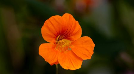 如何让div上下居中