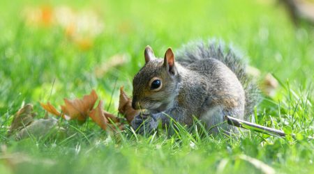 网页自适应如何实现
