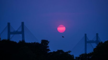 如何扒网页上图标