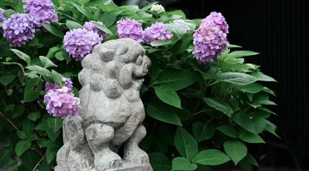 ps填充图案如何居中