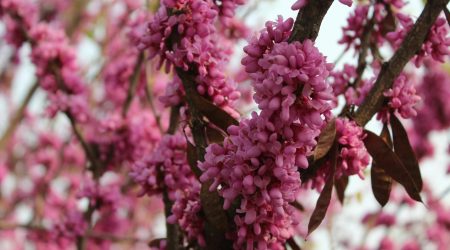 如何选择宿迁小程序