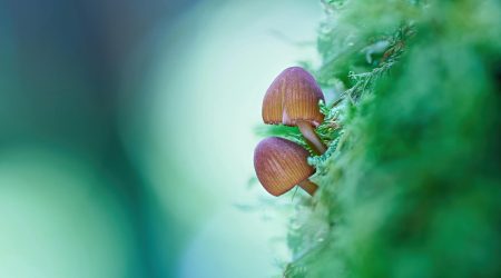 figma如何改变背景颜色