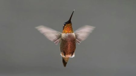 动态ip网站如何备案