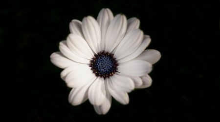 ps如何选区居中对齐