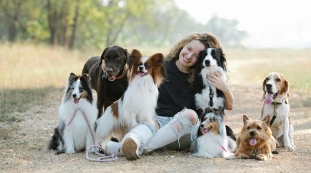 企业qq如何转换群主