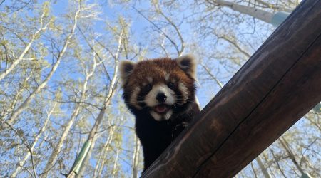 如何虚拟ip到北京