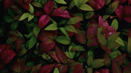 如何用ai制作条纹填充