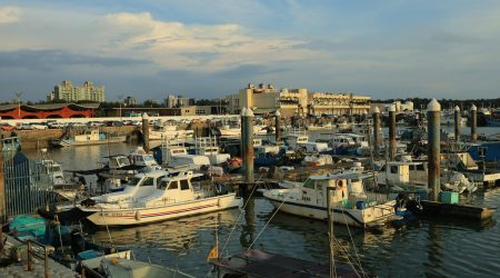 如何查询台湾域名