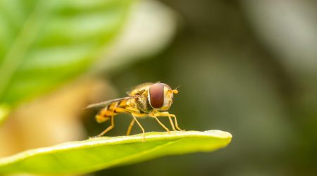 如何设置div悬浮特效