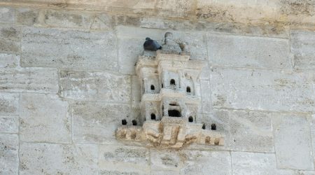 嵌入式培养如何考研