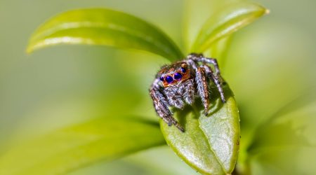 网页来信息如何提醒