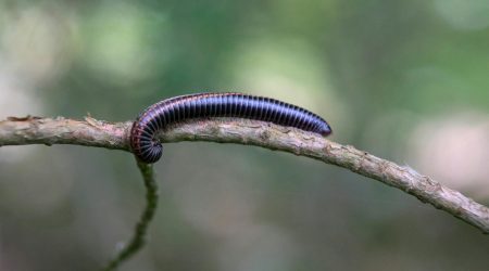 如何打开iis站点属性