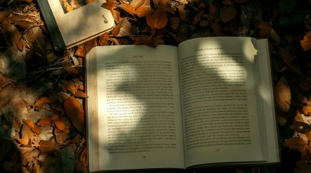 织梦如何限制字数