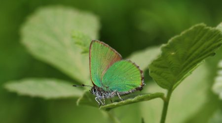 django中如何运行爬虫