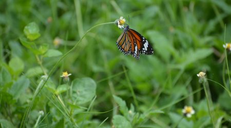 帝国如何登陆后台