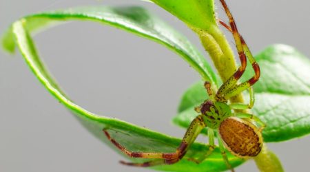 网站配色该如何选择