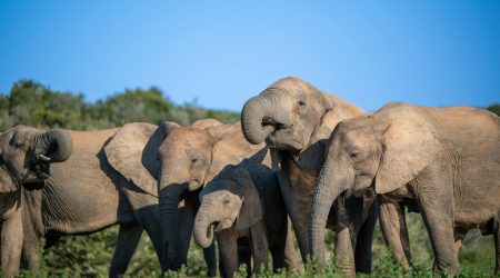 如何破除网站防复制