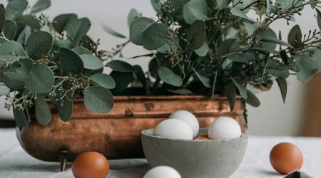 excuse表格颜色如何设置