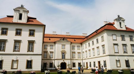 如何获取网站访客qq