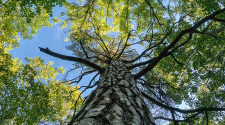 域名空间如何续费