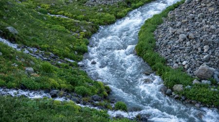 如何清空百度收录