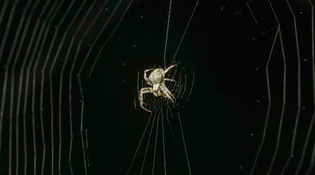 如何做视差网页设计