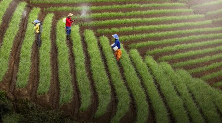 如何查询环保局备案