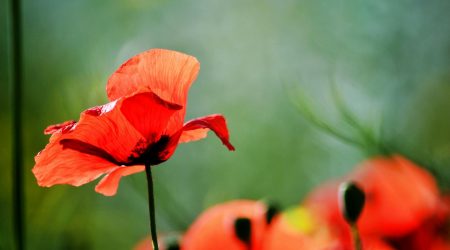 公众号如何开启微支付