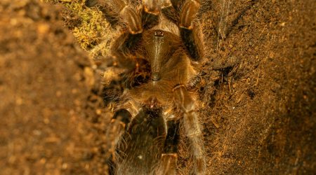 如何做网站自适应