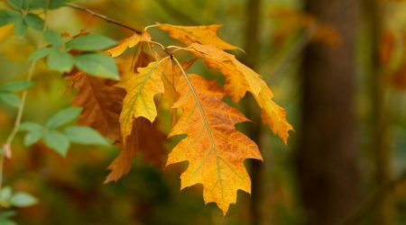 ps中如何改变部分颜色