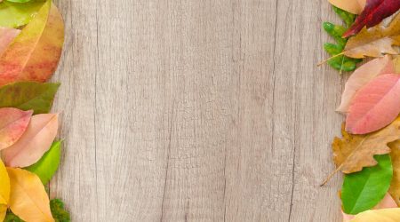 dw如何给表格加边框