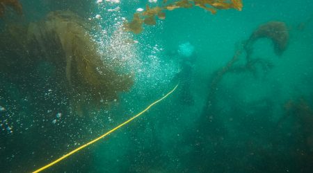 如何ps中使用参考线