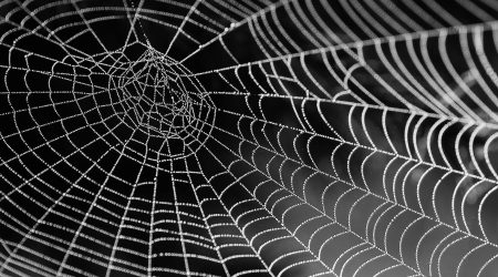 如何调节网页对比度