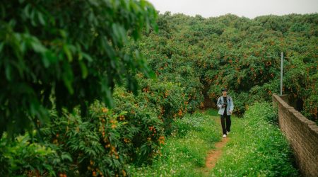 悟空问答如何开通达人
