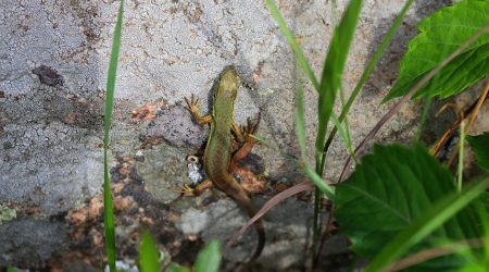 如何建立自己的微网站