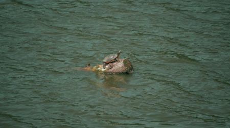 如何打开服务器日志