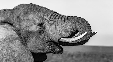 阿里云ecs如何查看ftp