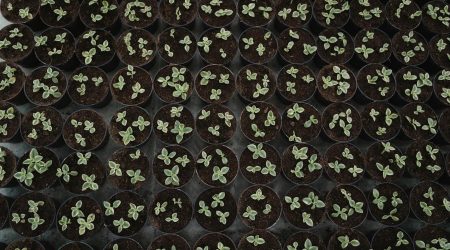 如何快速记忆的倍数