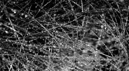 如何把网站全变为黑白