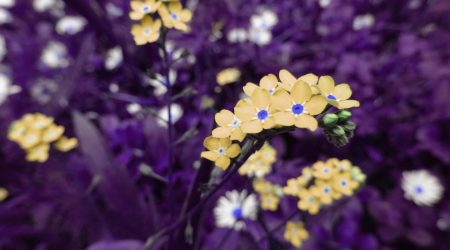 如何增亮图片颜色用