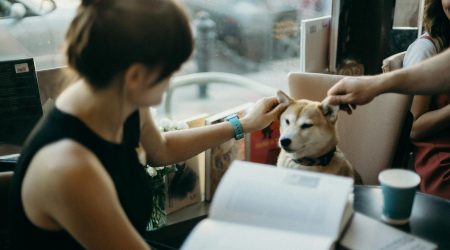 宠物书店如何盈利模式