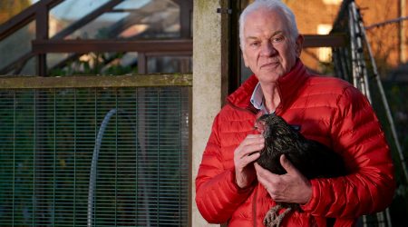 大棚驱鸟带 如何使用