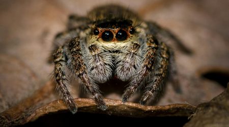 如何设计跳转网页版